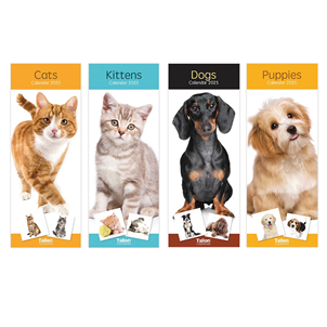 Picture of Super Slim Calendar 2025 Cats & Dogs - 0500