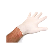 Picture of Latex Gloves Small Powder Free* - FN648